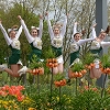 Auftritt auf der igs Hamburg 2013