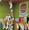 Basketballsaison 2012-2013