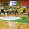 Basketballsaison 2013-2014