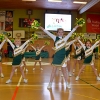 Basketballsaison 2013-2014