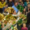 Basketballsaison 2013-2014