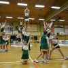 Basketballsaison 2013-2014