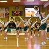 Basketballsaison 2014/2015