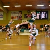Basketballsaison 2014/2015