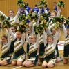 Basketballsaison 2014/2015