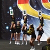 WSC Starlets Deluxe @ CCVD Deutsche Meisterschaft 2019