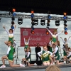Wedeler Hafenfest 2013