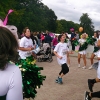 Race for the Cure 2013, Hamburg